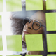 iStock